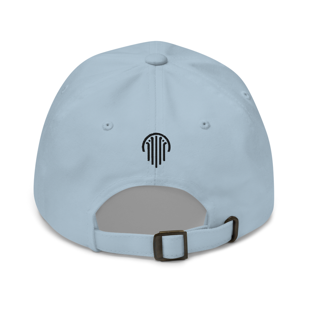 Undivided Dad Hat