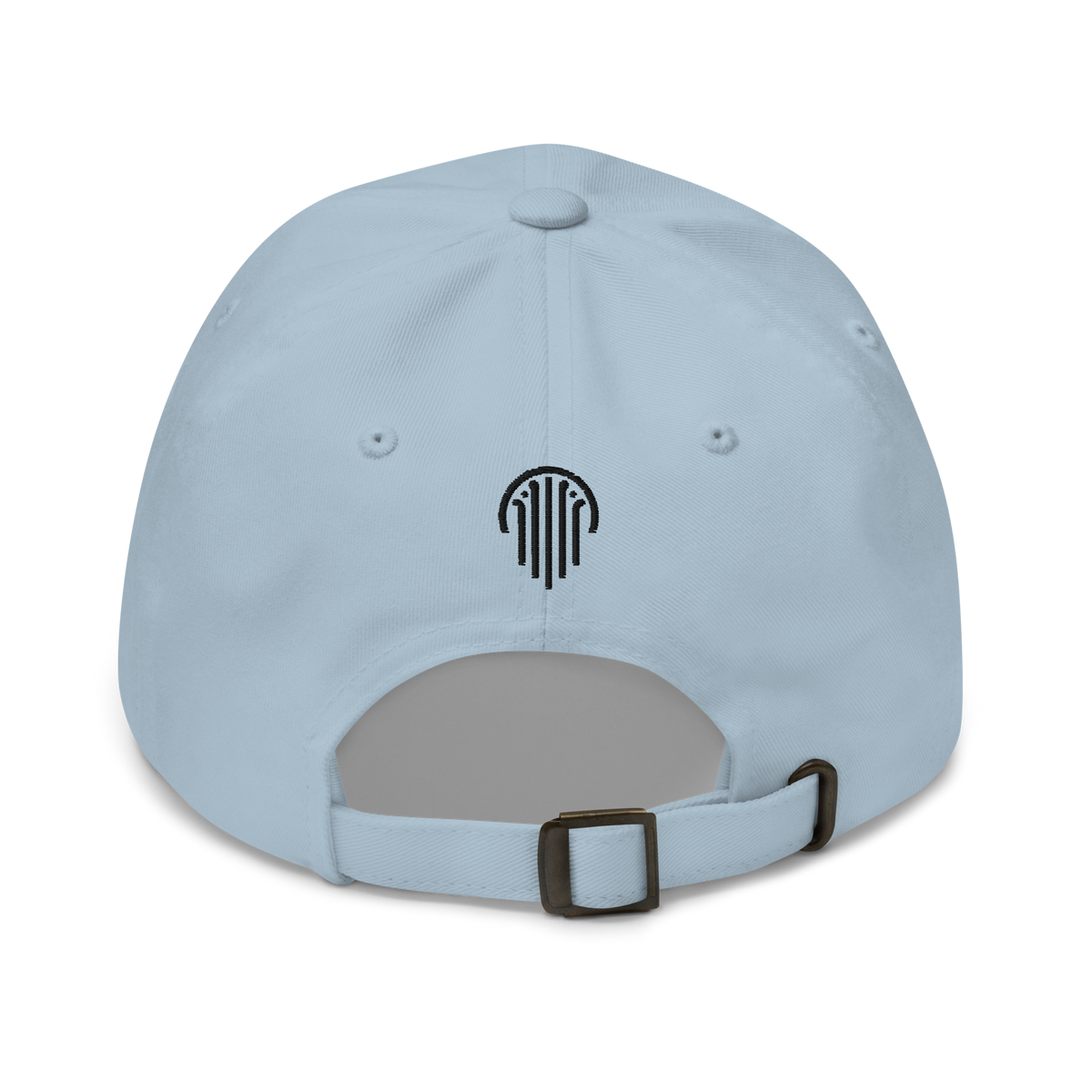 Undivided Dad Hat