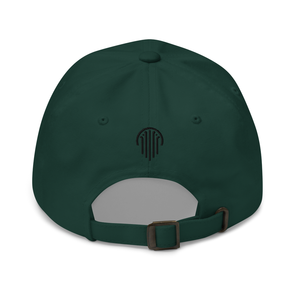 Undivided Dad Hat