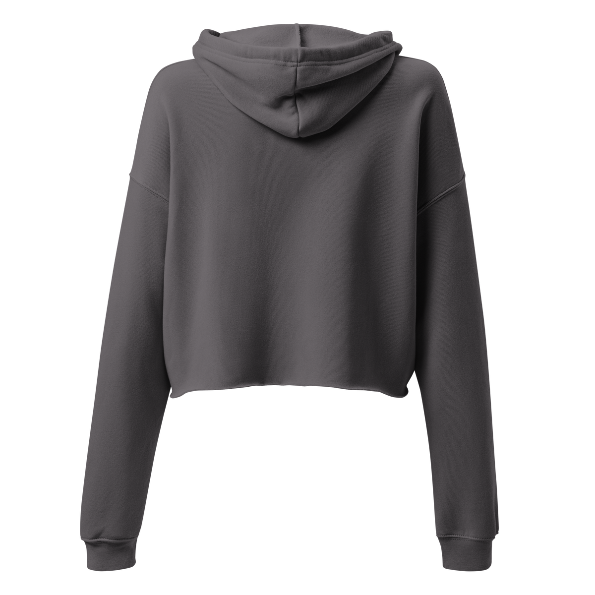 Introspect Crop Hoodie